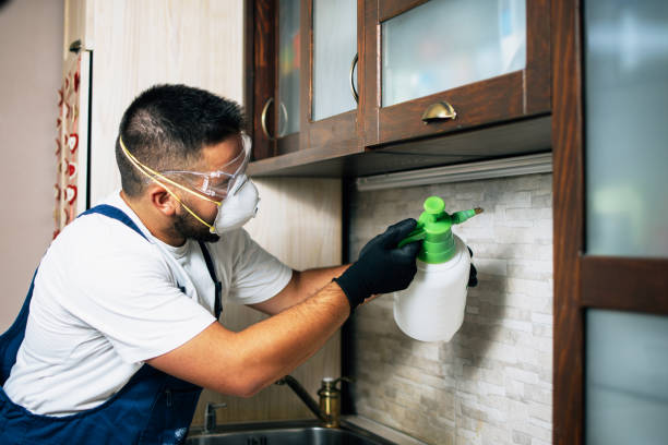 Best Exterminator Services  in North Salt Lake, UT