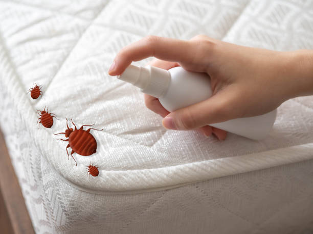 Best Insect Control  in North Salt Lake, UT