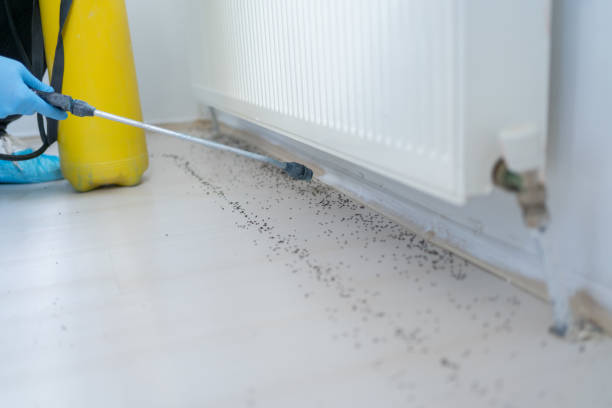 North Salt Lake, UT Pest Control Company